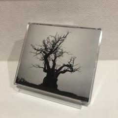 SEKAI NO OWARI 2010-2019 未開封品 SEKAI NO OWARI、ベスト・アルバム限定盤DVDのダイジェスト映像