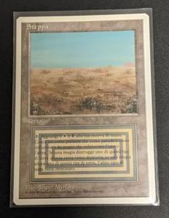 MTG Scrubland 伊語