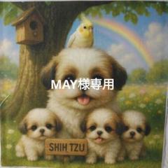 めーちゃん様❣️専用出品です✨️ MAY様専用 71 - メルカリ