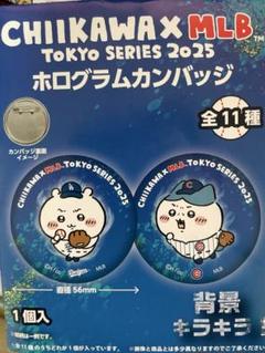ちいかわ モモンガ 缶バッジ 4点セット - メルカリ