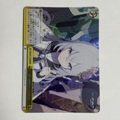 ヴァイス　ブルアカ　SR RRR まとめ売り　49枚 2025年最新】ブルアカ ヴァイス rrrの人気アイテム - メルカリ