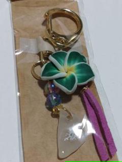 新品 未開封品　西表島ガラス製キーホルダー