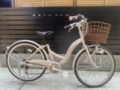 引き取り限定】galoop台湾製の運搬用自転車 店舗 ガーデン