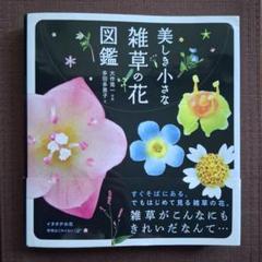 *美しき小さな雑草の花図鑑*山と渓谷社定価1600円