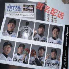 【才木】シークレット 証明写真風ステッカー 2025 阪神タイガース