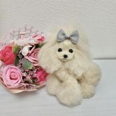 送料込み。トイプードルレッドちゃん。トップノットおリボン♡ 送料込み。トイプードルレッドちゃん。トップノットおリボン♡