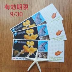 新江ノ島水族館 無料招待券