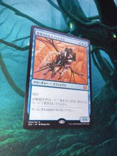 mtg 選別されたスフィンクス