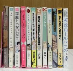 BL漫画 まとめ売り 12冊