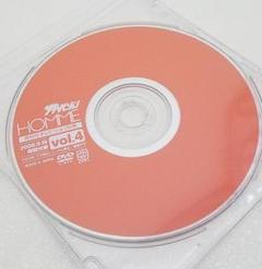 2008ザ・テレビジョン付録DVD