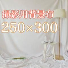 新品】白背景布 250×300 動画配信 撮影 ホワイト 物撮り フリマ