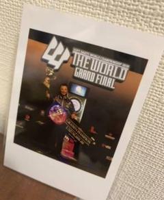 非売品 ダーツ ロイデン・ラム プロマイド ロイデン・ラム チェキ風 写真 景品