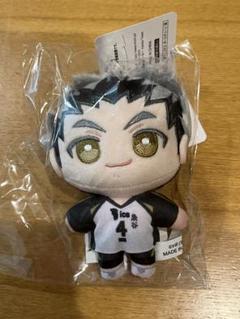 木兎光太郎 ぬいパル