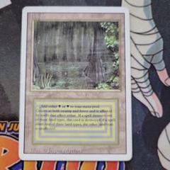 MTG Bayou  バイユー ①　英語版　リバイズド MTG Bayou バイユー ①英語版リバイズド