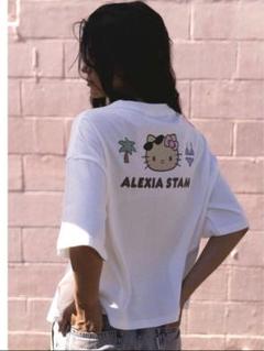 【未使用新品】アリシアスタン　バックロゴロングTシャツ　フリーサイズ セール】Wellness Crew Neck Long Sleeve Tee /ウェルネスロンT