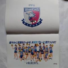 PFU BlueCats  細沼綾　サイン入り　ユニフォーム　　サイズ:4XL PFU BlueCats 細沼綾サイン入りユニフォームサイズ:4XL