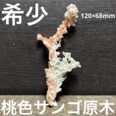希少　長崎県産　桃色サンゴ　原木　ルース　36gのサムネイル