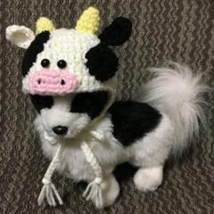 小型犬用ニット帽♥うし帽子