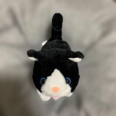 金曜まで赤字特価　日本製　アビシニアン　猫　ぬいぐるみ　メルカリのみ出品 Amazon.co.jp: 日本製 リアルな猫のぬいぐるみ 58cm (ミケネコL