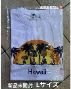 新品未開封 ハワイ モニホノルル 日焼けスヌーピー 半袖Tシャツ