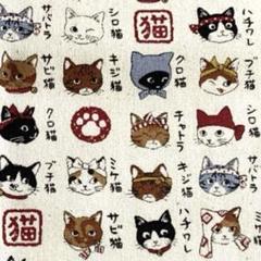 ☆図鑑シリーズ　猫模様☆１１０㎝×５０㎝ 生成り オックス生地　綿１００%