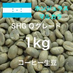 コーヒー生豆】ホンジュラス マルカラ産 SHG Qグレード 1kg