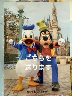 2025年最新】ディズニー フォトファン 台紙の人気アイテム