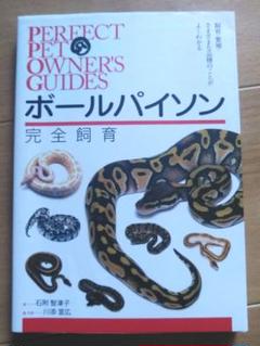 洋書　PYTHON REGIUS ボールパイソンの飼育ガイド 71hj1EdxlmL._UF1000,1000_QL80_.jpg