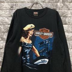希少 HARLEY DAVIDSON ロンT ハーレーダビッドソン PA - メルカリ