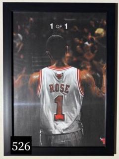 ADIDAS BULLS NBA デリックローズ 00s NBA adidas シカゴ・ブルズ デリック・ローズ メッシュ
