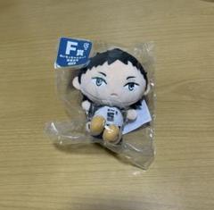 ハイキューくじ　ぬいもっち　F賞赤葦京治