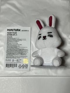 MINITEEN エスクプス ぬいぐるみ キーホルダー SEVENTEEN