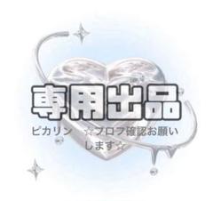 新発売 ピカリン ☆プロフ確認お願いします☆ メルカリ - 様 塊根植物・コーデックス