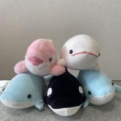 2025年最新】鴨川SEAの人気アイテム - メルカリ