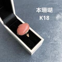2025年最新】K18 リング サンゴの人気アイテム - メルカリ