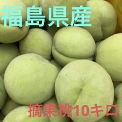 暁星摘果桃 10kg 摘果桃 暁星摘果桃 10kg 加工用 果物