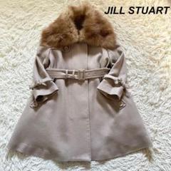 JILL STUART ブラウンファーコート Mサイズ フェイクファー＆ボアコート｜ジルバイジルスチュアートの通販
