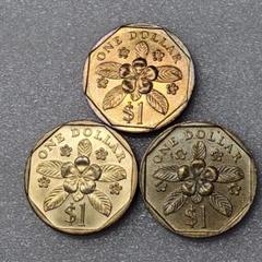 N3588【シンガポール】1987〜2011年1ドル　硬貨　コイン　年号揃い9枚 4444. 美品 1987年 1995年 シンガポール 1ドル 3枚組 - メルカリ