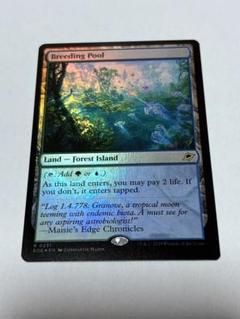 mtg 繁殖池　foil エクスペディション 英)繁殖池 / Breeding Pool【EXP】 【Foil】 No.015｜MtG通販