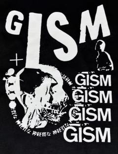 激稀少/当時モノ/GISM 横山SAKEVI/チラシ１３/B5 UKAWA NAOHIRO™ on X: 