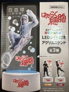 2025年最新】はたらく細胞 アクリル ledの人気アイテム - メルカリ