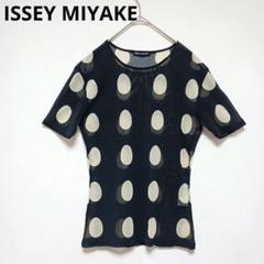 希少品 ISSEY　MIYAKE　PeRMANeNTeくしゅくしゅシアートップス 美品】 ISSEY MIYAKE イッセイミヤケ メッシュ シアー トップスM