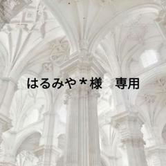 はるみや＊様　専用