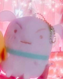 クレヨンしんちゃん♡シロ♡ぬいぐるみ♡