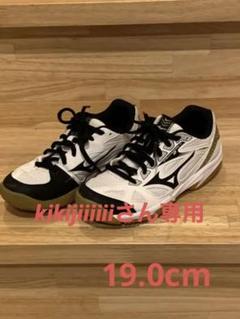 新品・激レア品】Mizuno Wave Tornado X2 27cm - メルカリ