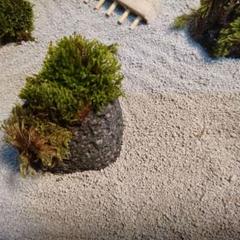 癒しの箱庭 枯山水庭園のサムネイル
