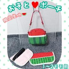 限定おそと♥️ポーチ- フクロモモンガ、モモンガポーチ