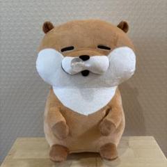 可愛い嘘のカワウソ　鼻かぜぇBIGぬいぐるみ