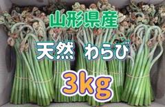 ☆送料無料☆塩蔵わらび ５.0kg 2025年最新】塩漬けワラビの人気アイテム - メルカリ