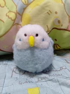 ぽわびより　セキセイインコブルーSサイズ